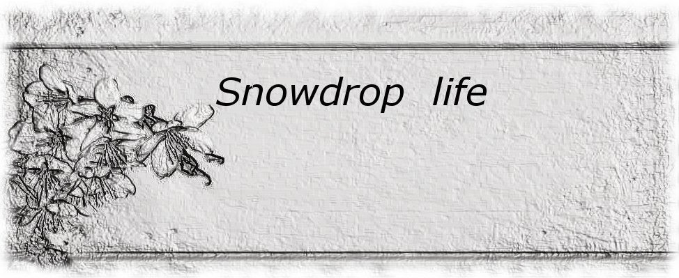 Snowdrop life